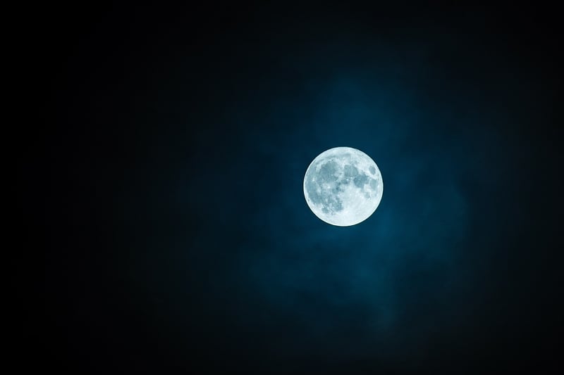 Moonlit Garden Terrace